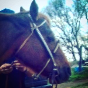 Meet your Posher, Tessa